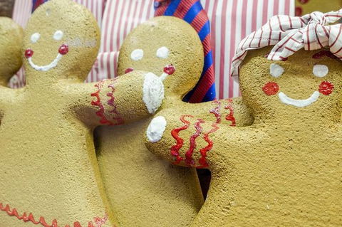 Family Day In Sydney With A Local: Private & Personalized - Accommodation in Brisbane 10