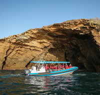 Hunter Coastal Adventure Tour by Boat from Newcastle - Accommodation in Brisbane