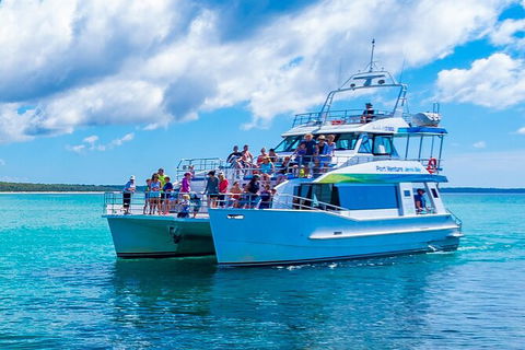 Jervis Bay Whale Watching Tour - Accommodation in Brisbane 2