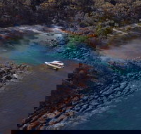 Jervis Bay Passage Tour - Accommodation in Brisbane