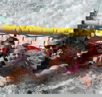 Jervis Bay Boom Netting and Dolphins Tour - Accommodation in Brisbane