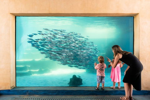 AQWA The Aquarium Of Western Australia - Accommodation in Brisbane 0