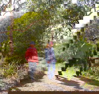 Arthurs Seat Circuit Walk - Accommodation in Brisbane