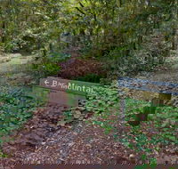 Bar Mountain circuit - Accommodation in Brisbane