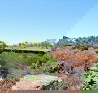 Bladensburg National Park - Accommodation in Brisbane