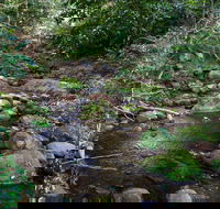 Cascades picnic area - Accommodation in Brisbane