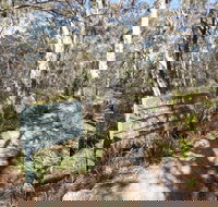 Cascades walking track and viewing platform - Accommodation in Brisbane