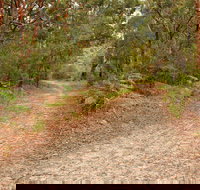 Daleys Point Walking Track - Accommodation in Brisbane