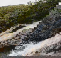 Davies Creek National Park and Dinden National Park - Accommodation in Brisbane