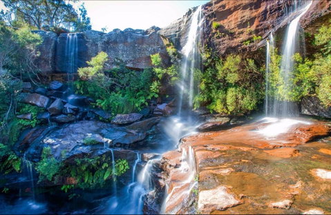 Dharawal National Park - Accommodation in Brisbane 0