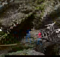 Dig the Tropic - Accommodation in Brisbane