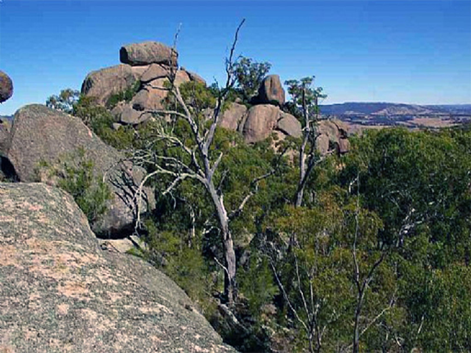 Tarana NSW Accommodation in Brisbane