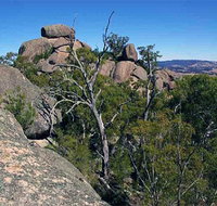Evans Crown Nature Reserve - Accommodation in Brisbane
