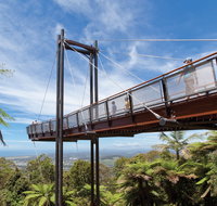 Forest Sky Pier Sealy Lookout - Accommodation in Brisbane