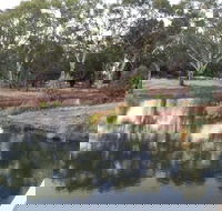 Green Corridor Walking Track - Accommodation in Brisbane