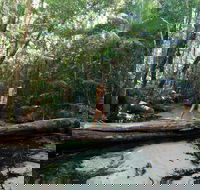 Great Beach Drive - 3 Day Itinerary - Accommodation in Brisbane