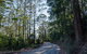 Hastings Forest Way Touring Route - thumb 0