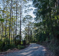 Hastings Forest Way Touring Route - Accommodation in Brisbane