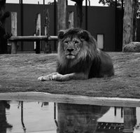 Hunter Valley Zoo - Accommodation in Brisbane