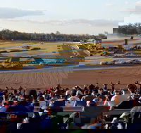Ipswich Motorsport Precinct - Accommodation in Brisbane