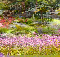 Jurassic Garden AR Experience - Accommodation in Brisbane