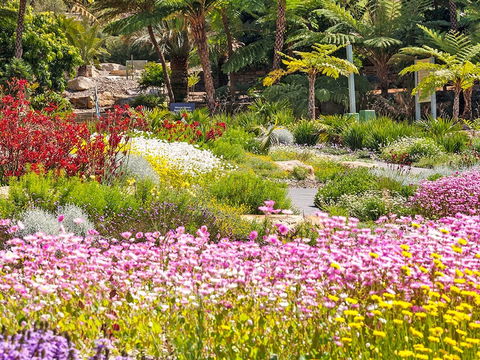 Jurassic Garden AR Experience - Accommodation in Brisbane 0