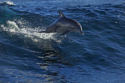 Kalbarri Town Centre - Accommodation in Brisbane 1