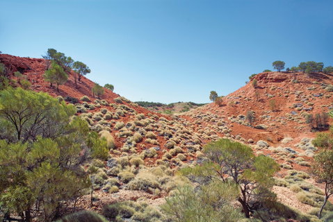 Lark Quarry Conservation Park - Accommodation in Brisbane 0