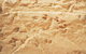 Lark Quarry Conservation Park - thumb 2