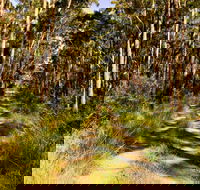 Mining Road Fire Trail Old Gibber Road Rire Trail - Accommodation in Brisbane