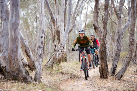 Nail Can Hill - Accommodation in Brisbane 1