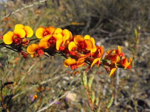 Nail Can Hill - Accommodation in Brisbane 2