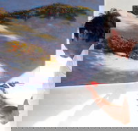 Neale Joseph Fine Art Gallery - Accommodation in Brisbane