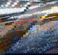 Oasis Regional Aquatic Centre - Accommodation in Brisbane