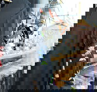 Oh JoJo Boutique - Accommodation in Brisbane