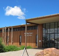 Pilliga Forest Discovery Centre - Accommodation in Brisbane