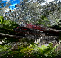 Puffing Billy Railway - Accommodation in Brisbane
