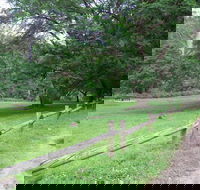 St Albans Reserve - Accommodation in Brisbane