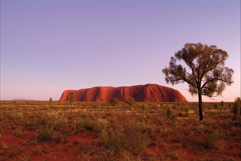 Sunrise Viewing Area Talinguru Nyakunytjaku - Accommodation in Brisbane 0