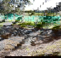 Tactical Paintball Games - Accommodation in Brisbane