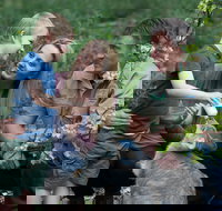 Tamworth Marsupial Park and Adventure Playground - Accommodation in Brisbane