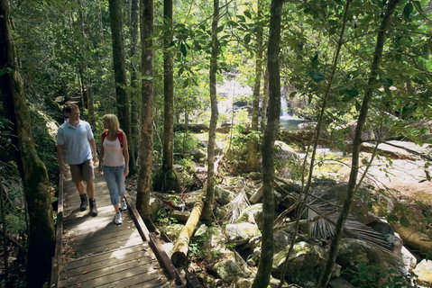 The Pioneer Valley And Eungella National Park - Accommodation in Brisbane 1