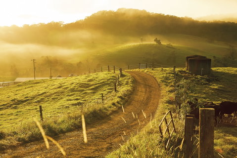 The Pioneer Valley And Eungella National Park - Accommodation in Brisbane 2