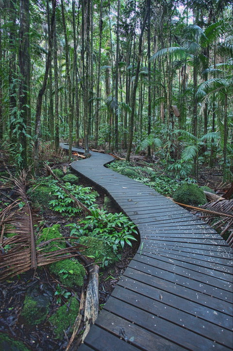 The Channon, Protesters Falls, Nimbin And Mount Nardi - Accommodation in Brisbane 0
