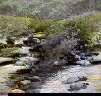 Thredbo River Track - Accommodation in Brisbane