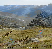 Thredbo Mountain Biking - Accommodation in Brisbane