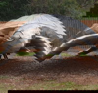 Underwater Marine Sculptures - Accommodation in Brisbane