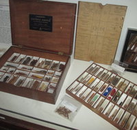 UQ Marks-Hirschfeld Museum of Medical History - Accommodation in Brisbane