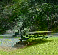 Williams River picnic area - Accommodation in Brisbane