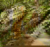 William Ricketts Sanctuary - Accommodation in Brisbane